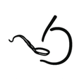 Symbol des Programms: Spoonfeeder