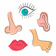 程序图标：Body Parts Name for Kids