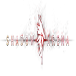 Pictogram van programma: Shadow Arena