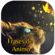 Icon of program: Frases Animo Positivas