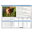Symbol des Programms: CacheViewer