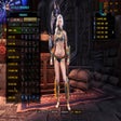 Icon of program: Slim Passionate armour