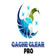 Icon of program: CACHE CLEAR PROFESSIONAL