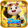 プログラムのアイコン：Ziac Patern HRnt