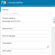 程序图标：Consulta Processual Pje M…