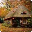 Ikona programu: Autumn Live Wallpaper Fre…