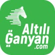 プログラムのアイコン：AltılıGanyan