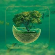 ไอคอนของโปรแกรม: EcoVista  Nature Wallpape…