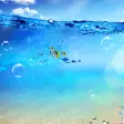 Ocean Live Wallpaper
