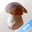 Symbol des Programms: Myco pro - Mushroom Guide