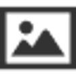 Icon of program: Google Lensで画像検索