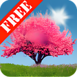 プログラムのアイコン：Spring Trees Free