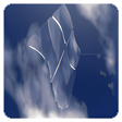 Icon of program: BootSkin