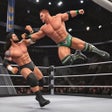 程序图标：Real Wrestling : Fighting…