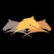 程序图标：Parelli Natural Horsemans…