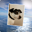 程序图标:PhotoFlight Slideshow FRE…