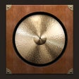 Ikon program: Gong Amp