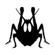 Ícone do programa: Grasshopper Board