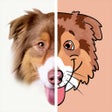 أيقونة البرنامج: Dog go art: Ai Generator …