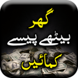 プログラムのアイコン：How to Earn Money - Urdu …