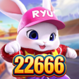 程序图标：22666Drain