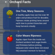 Ikona programu: Hen Orchard Chase