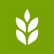 Icon of program: Maydan