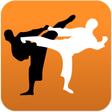 程序图标：Karate in brief