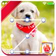 プログラムのアイコン：Cute Dogs Labrador Lock s…
