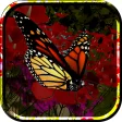 Butterflies Live Wallpaper