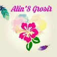プログラムのアイコン：ALINS GROSIR
