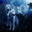 Icon of program: Wild Animals in Photo