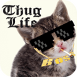 Ícone do programa: Thug Life Stickers