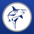 プログラムのアイコン：iShark NSU Florida
