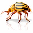 Icon of program: Arovax AntiSpyware