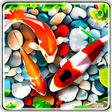 程序图标：Fish Live Wallpaper Soft …