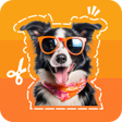 أيقونة البرنامج: Photo Stickers - Sticker …