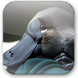 Icoon van programma: Platypus