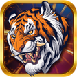 Icon of program: Long Hổ Lôi Đấu
