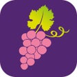 プログラムのアイコン：Atlas Bourgogne