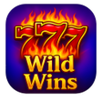 프로그램 아이콘: Wild Wins