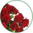 Icono de programa: Flowers Live Wallpaper