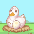 Ikon program: hatch ducklings