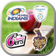 Icoon van programma: Logo Cricket Quiz