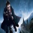 程序图标：Harry Potter Windows Them…