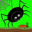 Gobble Spider: The Bug Catcher
