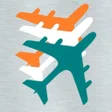 プログラムのアイコン：THE INDIA TOUR