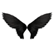 プログラムのアイコン：Wings Photo Editor