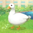 Duck Pet
