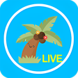 Ícone do programa: Coconut Live Video Chat  …